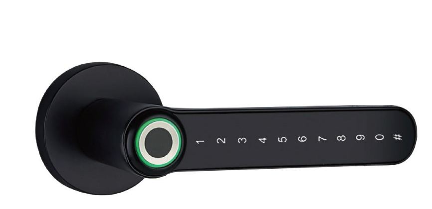 Cerradura Inteligente Modelo 8203